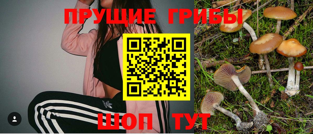 Псилоцибиновые грибы прущие грибы  Псилоцибиновые грибы прущие грибы  Саяногорск  Вход с VPN 